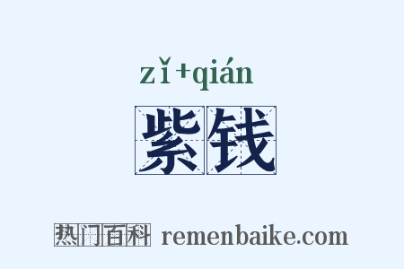 紫钱是什么意思的图片